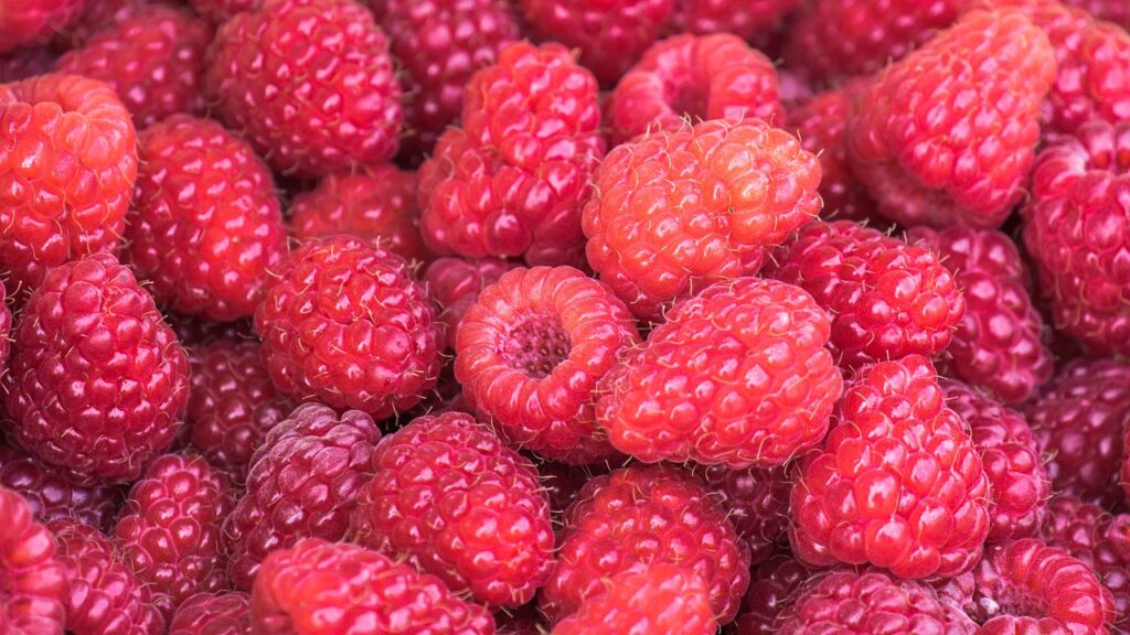 Käfer an Himbeeren